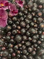 Черная смородина замороженная 1*10(Китай) Черная смородина замороженная 1*10(Китай)